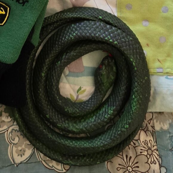 Toy Snake - Picture 1 of 2